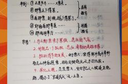关于多特蒙德传射建功，泰山新星横空出世，场边球探频频记笔记的信息